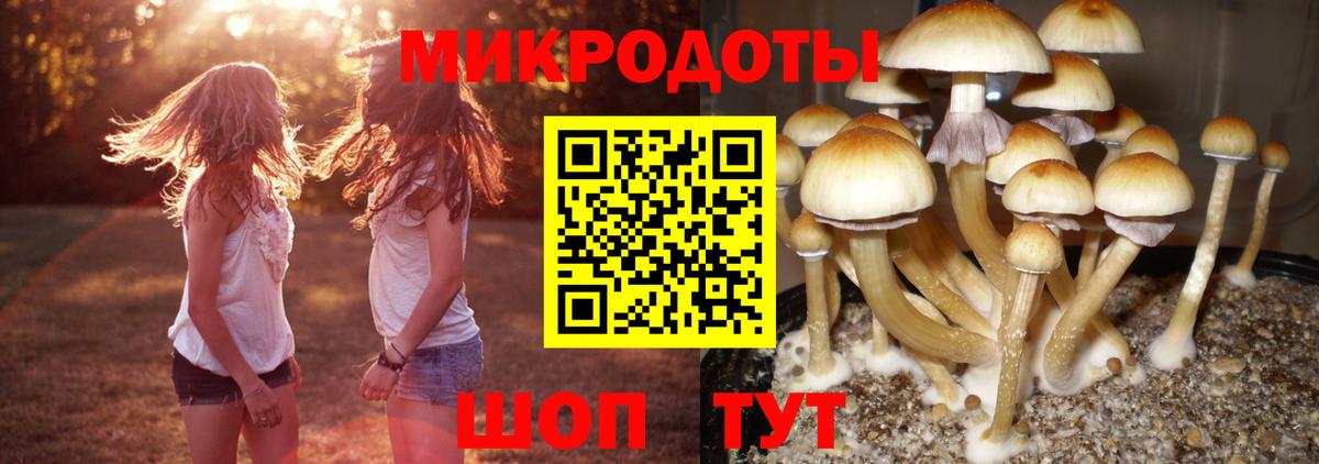 Псилоцибиновые грибы GOLDEN TEACHER Кудымкар