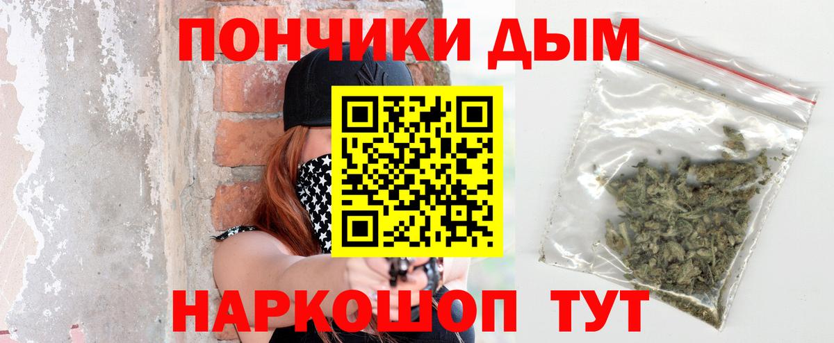 Шишки марихуана марихуана Кудымкар